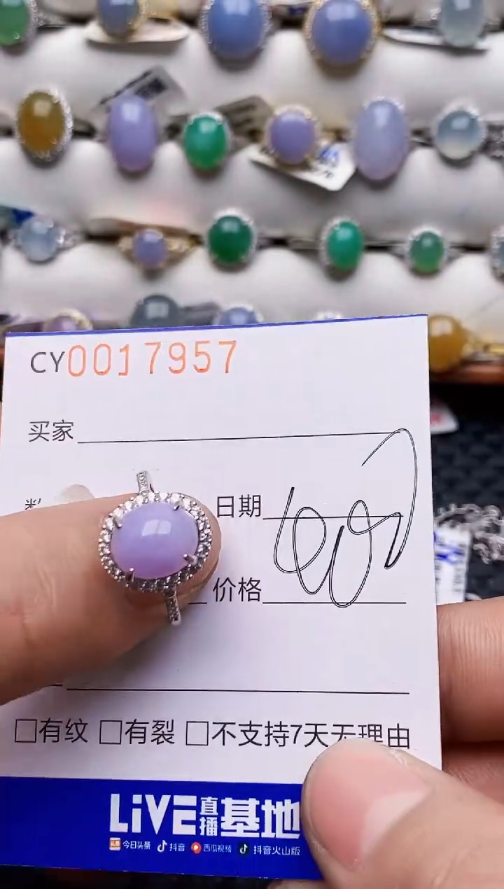 颈饰银S925镶嵌翡翠7957