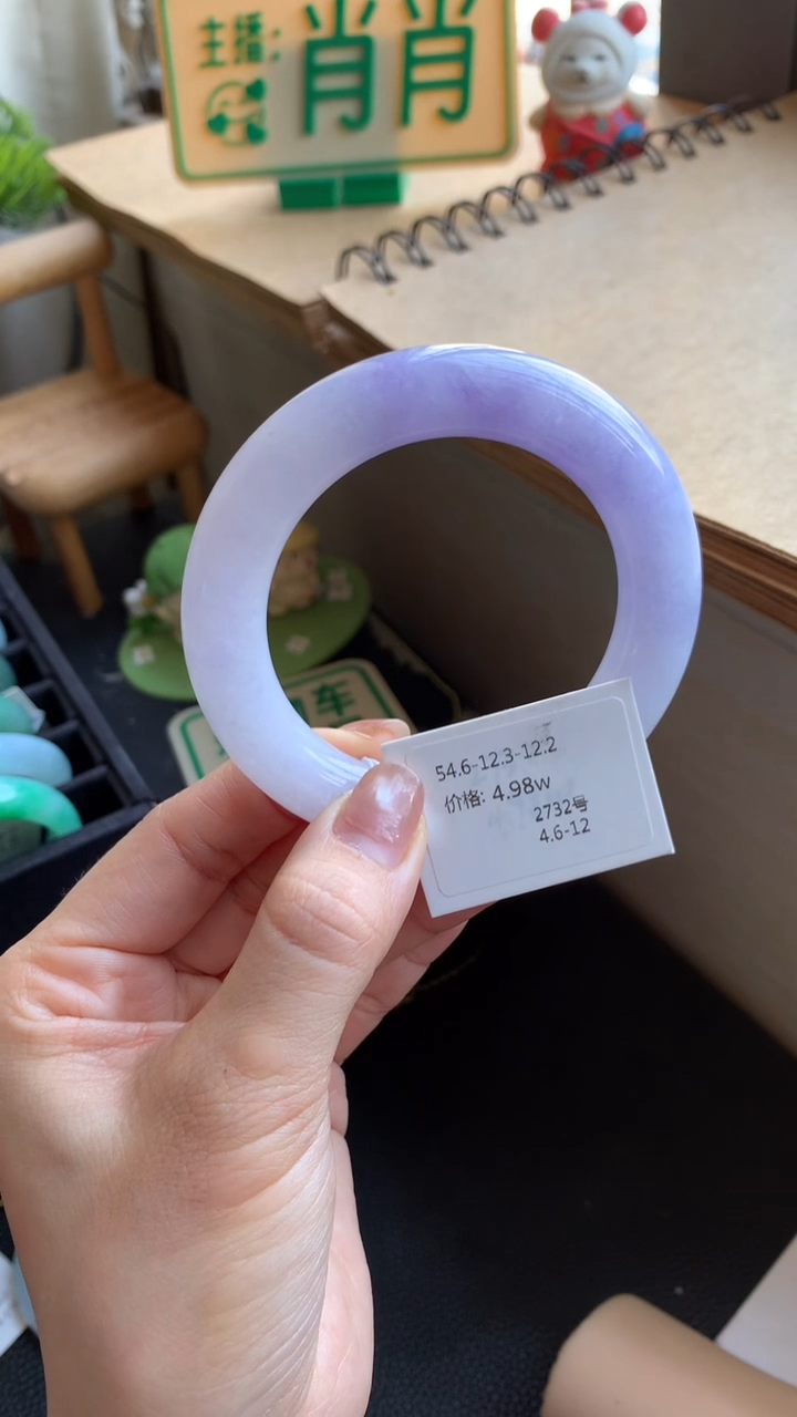 未镶嵌手镯翡翠2732号