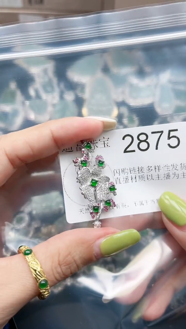 【闪购商品】翡翠颈饰未镶嵌2875赠皮绳