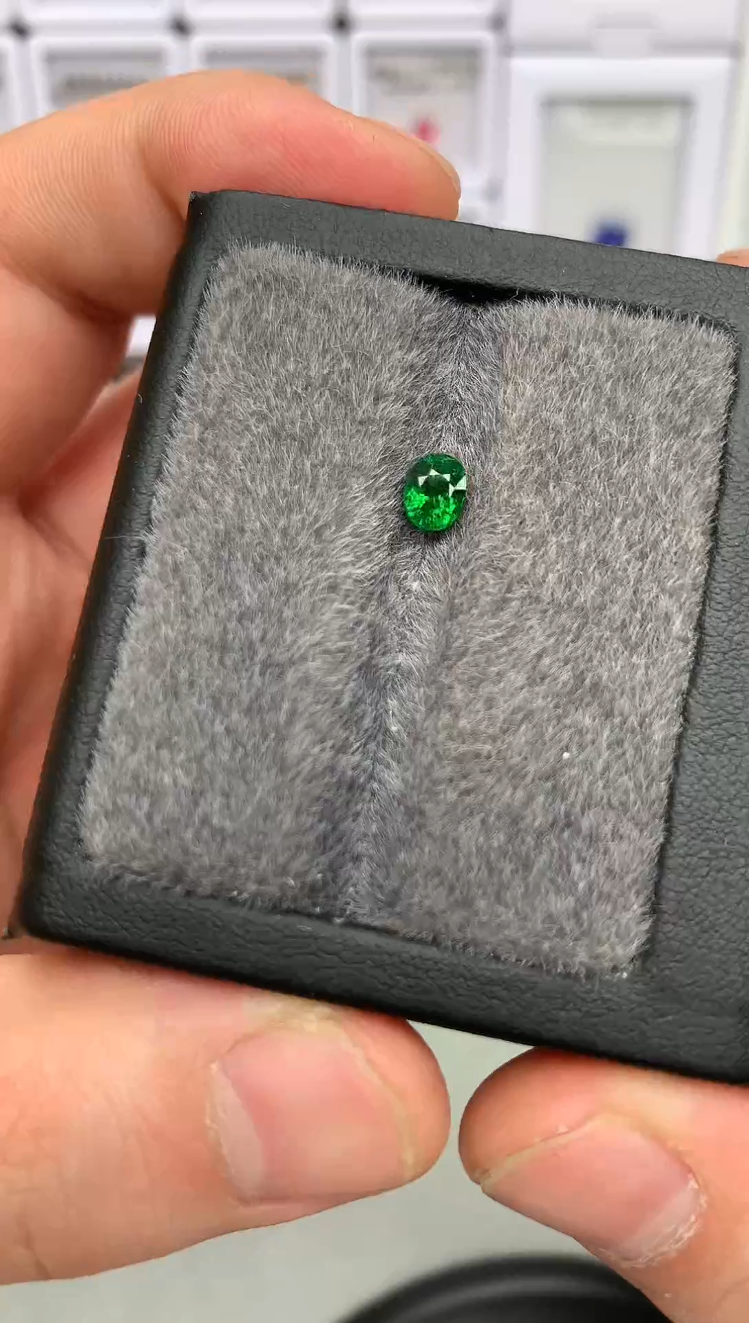 【闪购商品】石榴石（沙弗莱）裸石未镶嵌19-12 卡扎尼裸石