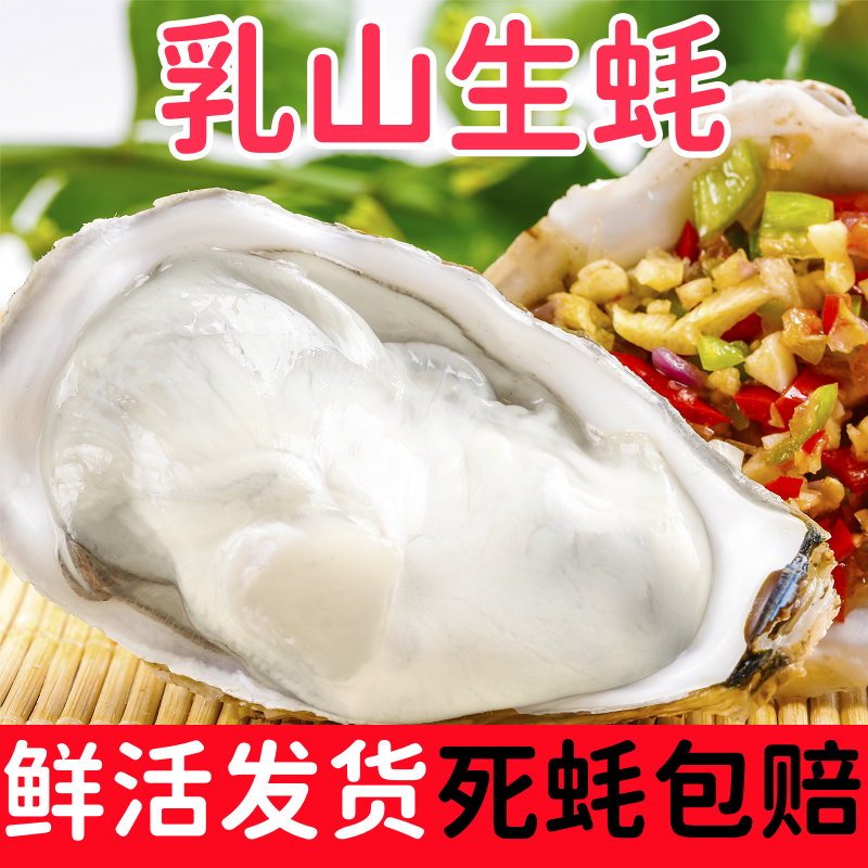 5斤正宗山东威海乳山生蚝鲜活海蛎子冷水蚝乳山牡蛎冷链包邮到家