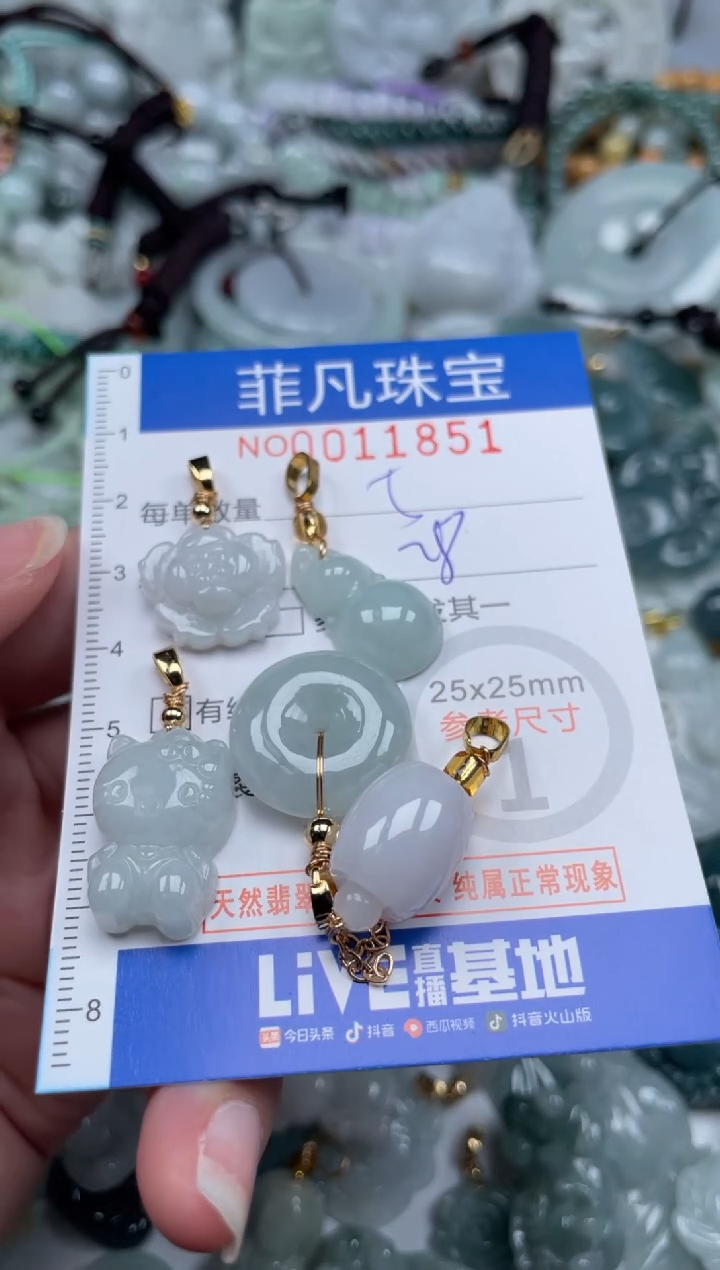 颈饰未镶嵌翡翠11851