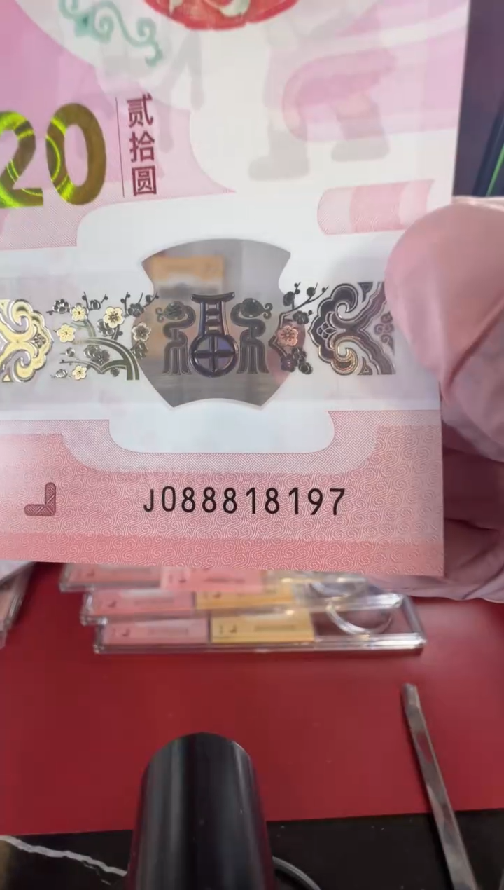 【闪购商品】塑料2025蛇钞啊啊啊啊单张裸