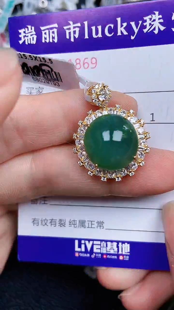 颈饰银S925镶嵌翡翠1869