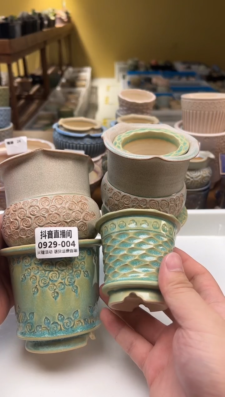  0929-004 内口7 秋日上盆季“拍一发三” 