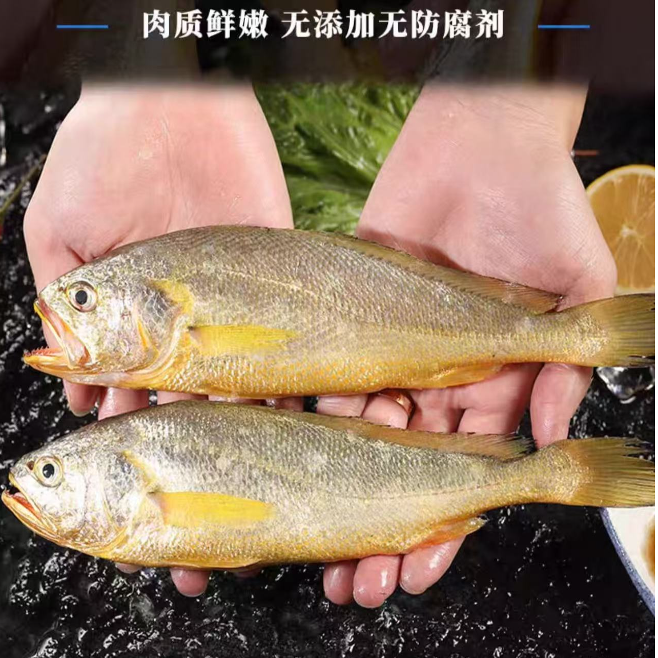 【钧哥专属】冻东海黄鱼（3条/斤，发6条，净重2斤）