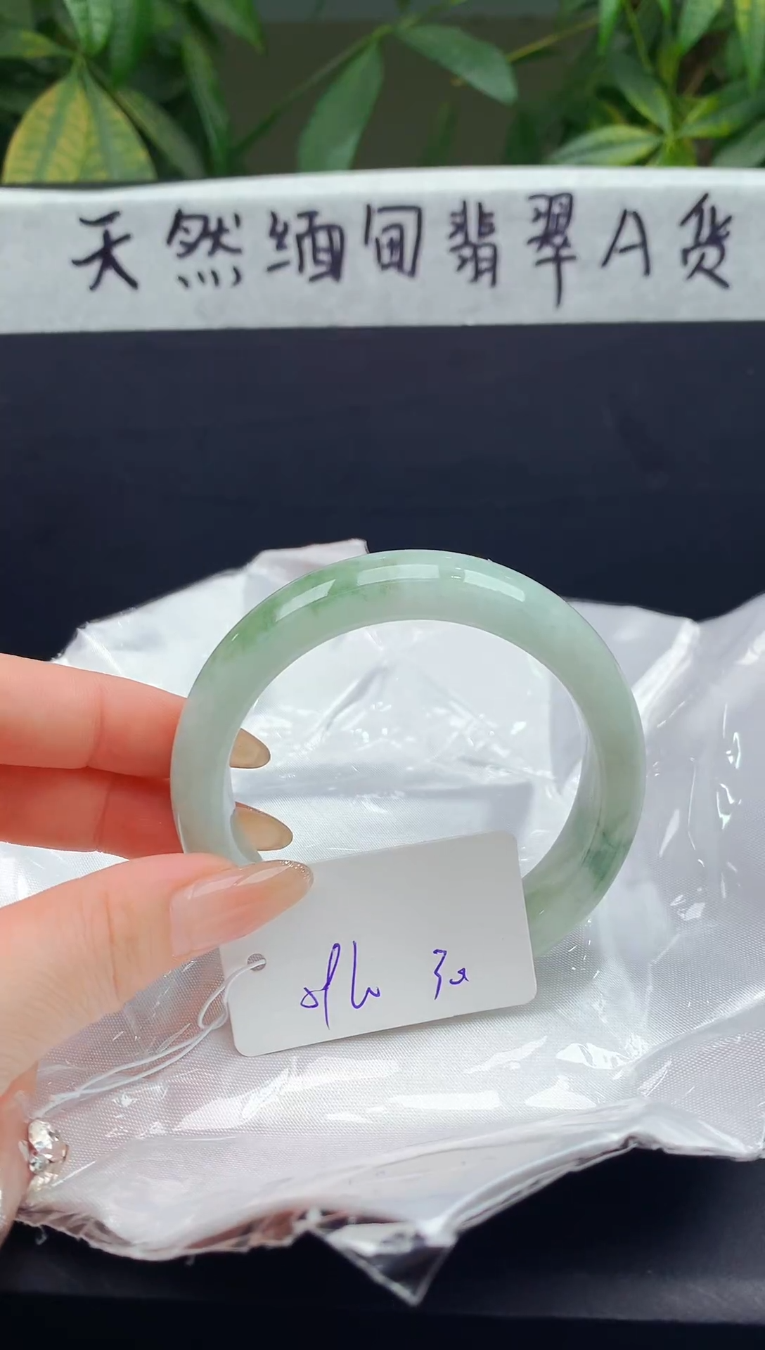 未镶嵌手镯翡翠162