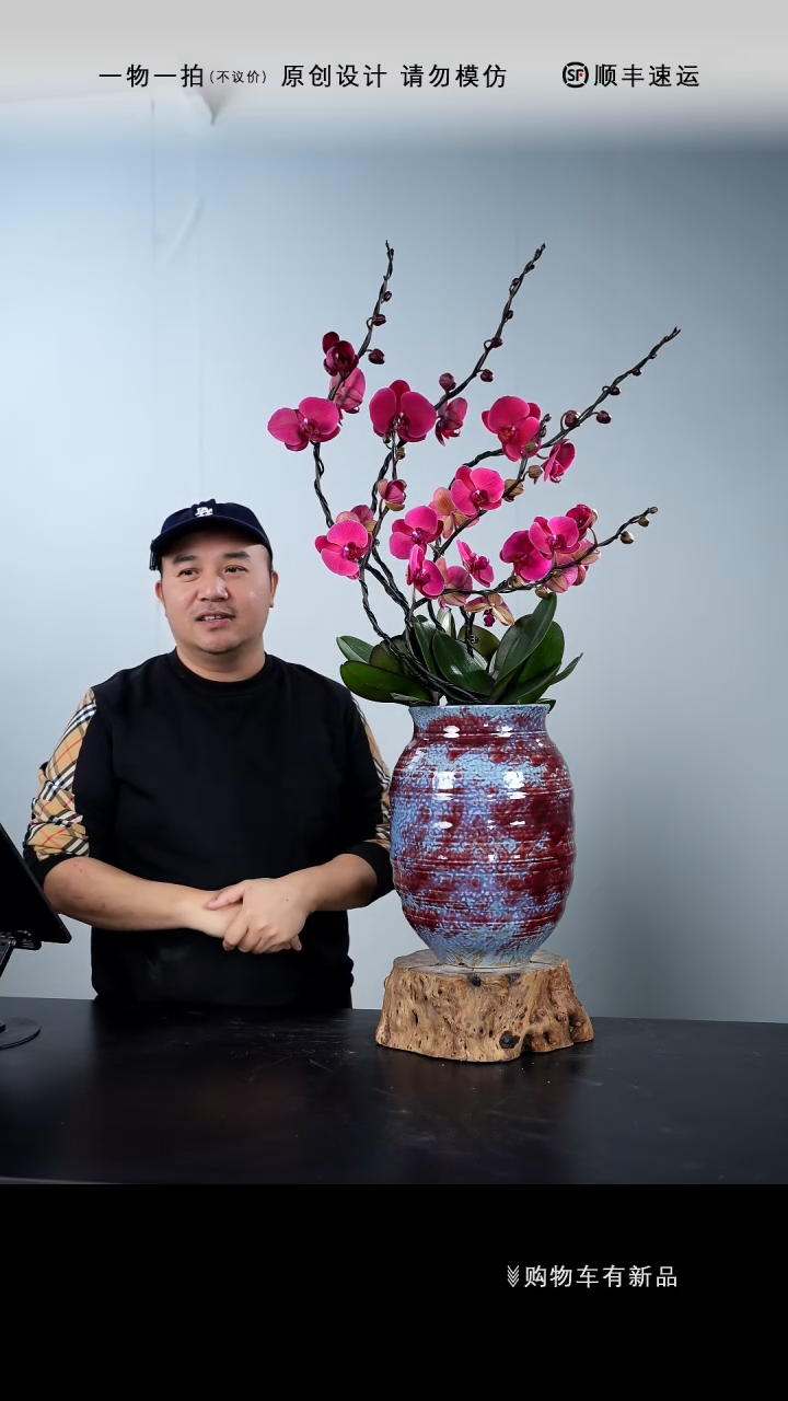 【闪购商品】102号链接【一物一拍】艺术盆景