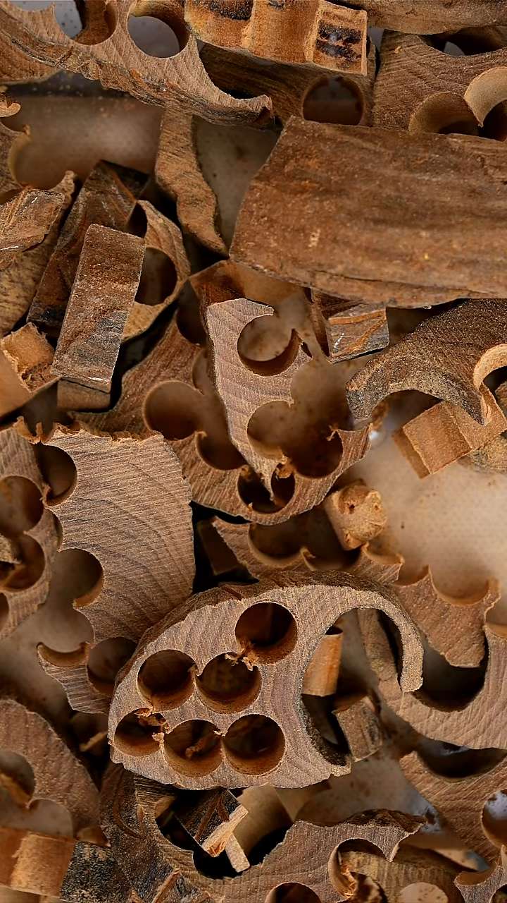 檀香木其他10克朽化碎料