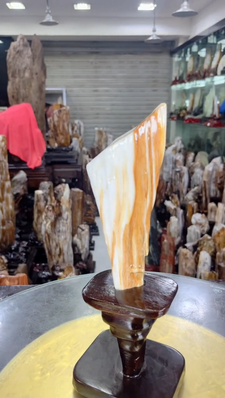 【闪购商品】硅化玉珠宝奇石未镶嵌缅甸天然树化玉