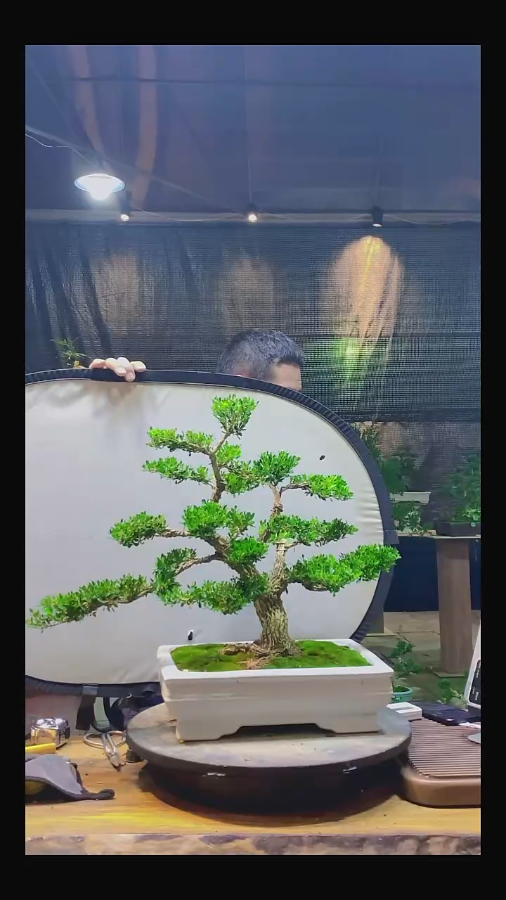 完全开放真*0000000000
