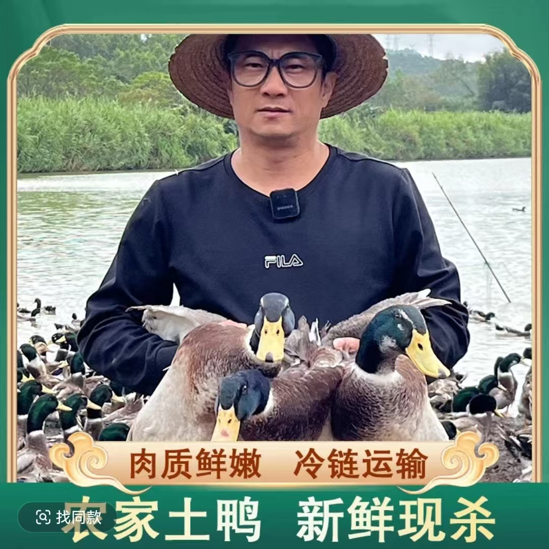 【老兵A】农村散养土鸭大河鸭 3只毛重11斤净重共8-9斤 净膛发货