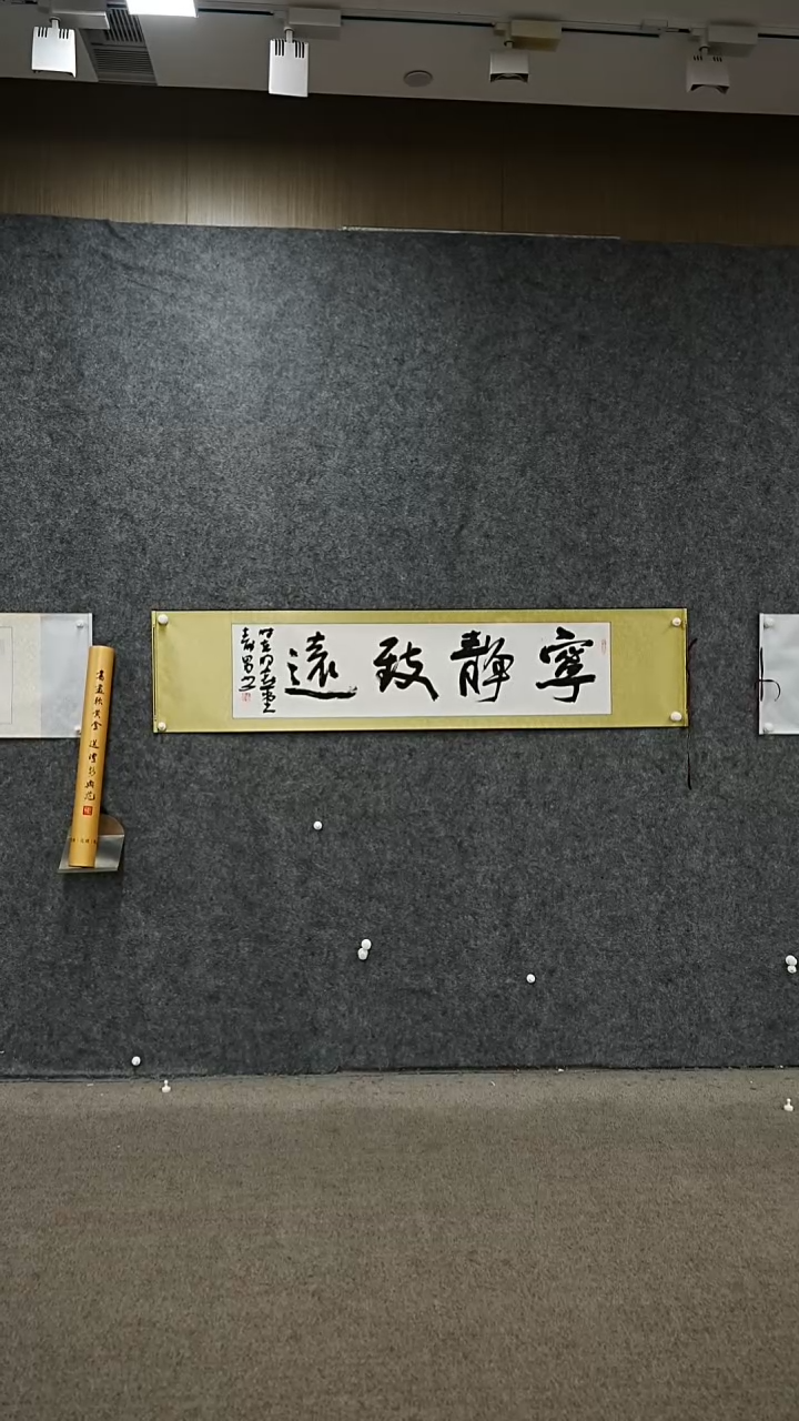 书法书法JSN老师作品
