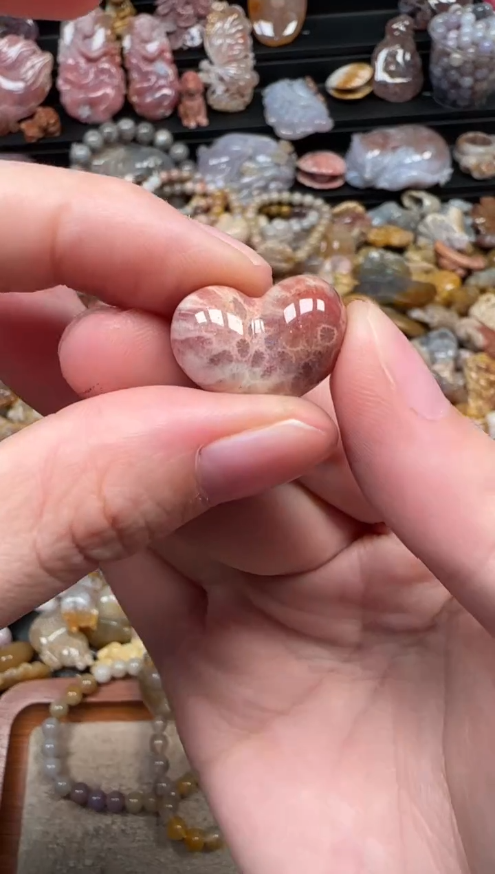 颈饰未镶嵌硅化珊瑚（珊瑚玉）238