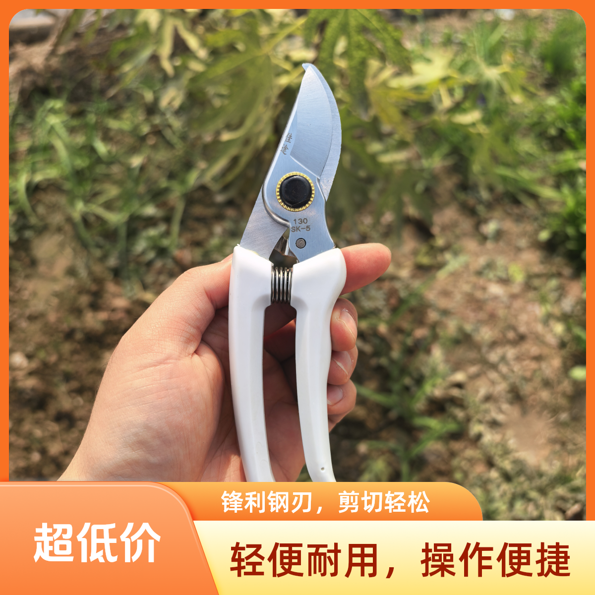 130花枝剪省力耐用园艺修枝剪果树剪专用树枝剪绿化花艺必备工具