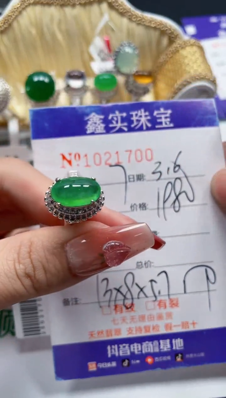 【闪购商品】翡翠颈饰未镶嵌/217000000