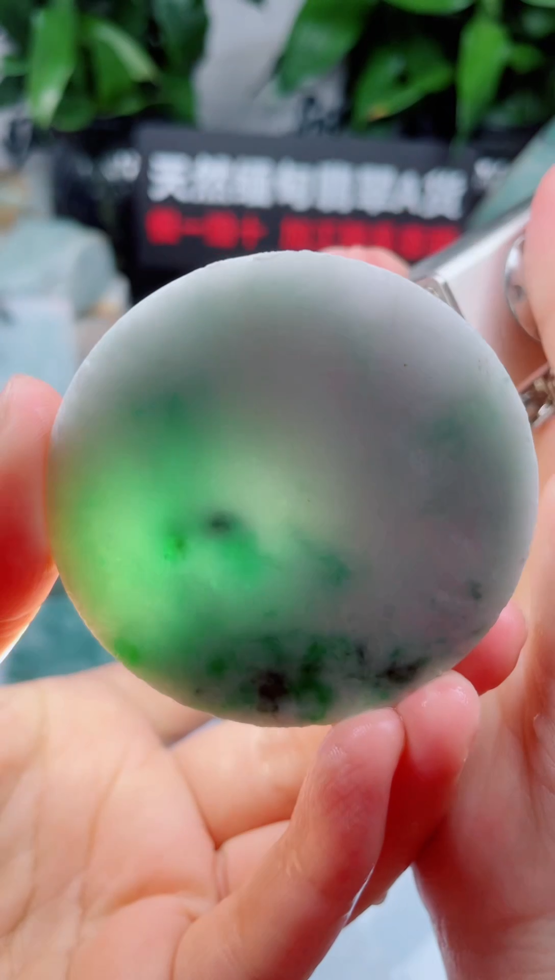 翡翠未镶嵌颈饰华729