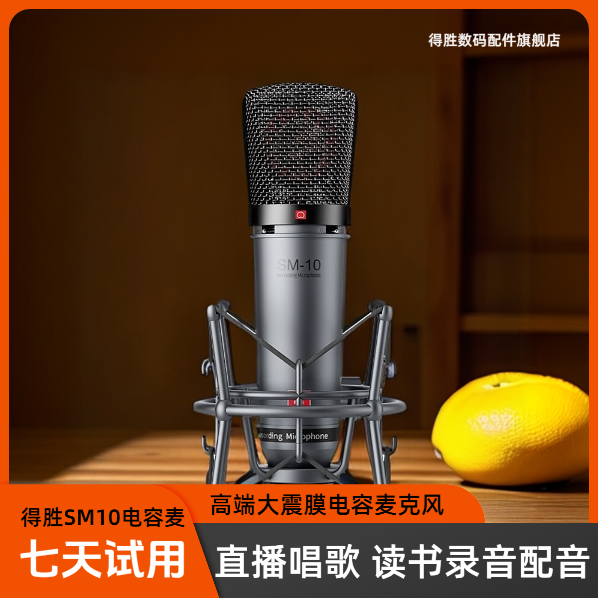 得胜话筒SM10电容有线麦克风唱歌k歌有声网红专业级游戏麦克风