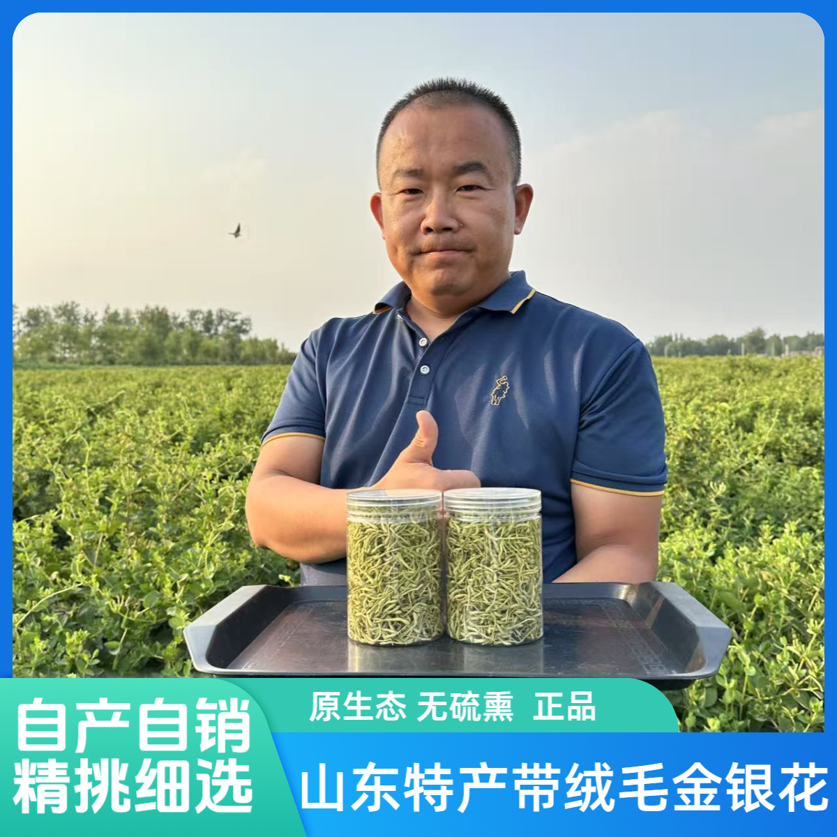 精选金银花110g（净重50g）源头直发山东特产头茬绒毛无硫熏高品质