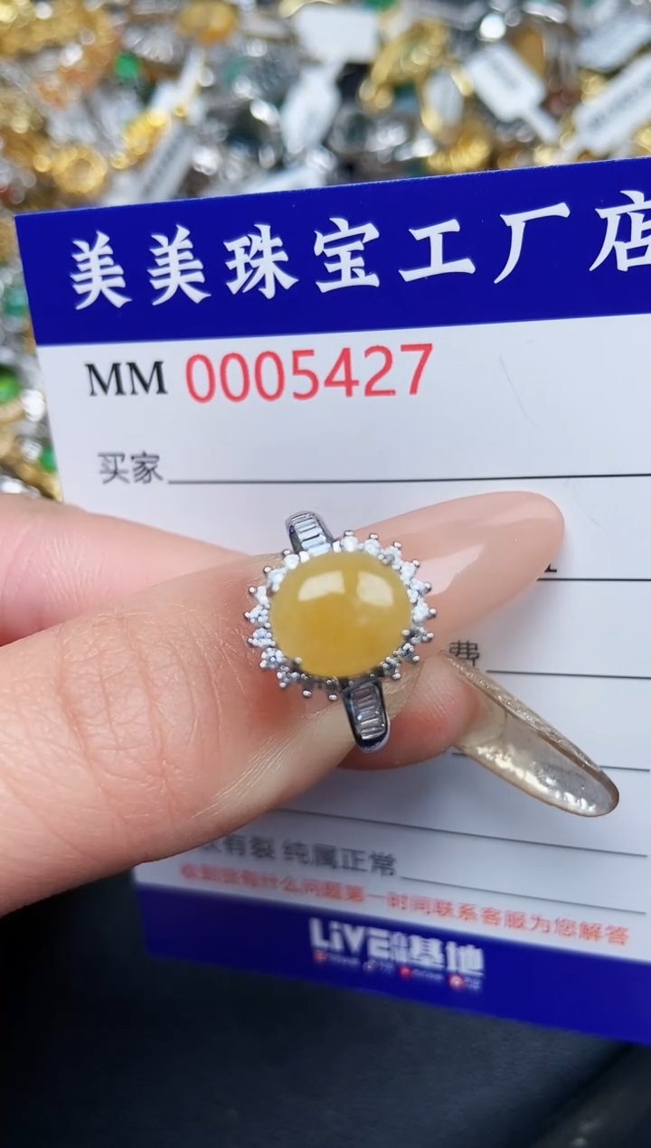 【闪购商品】翡翠颈饰银S925镶嵌5427