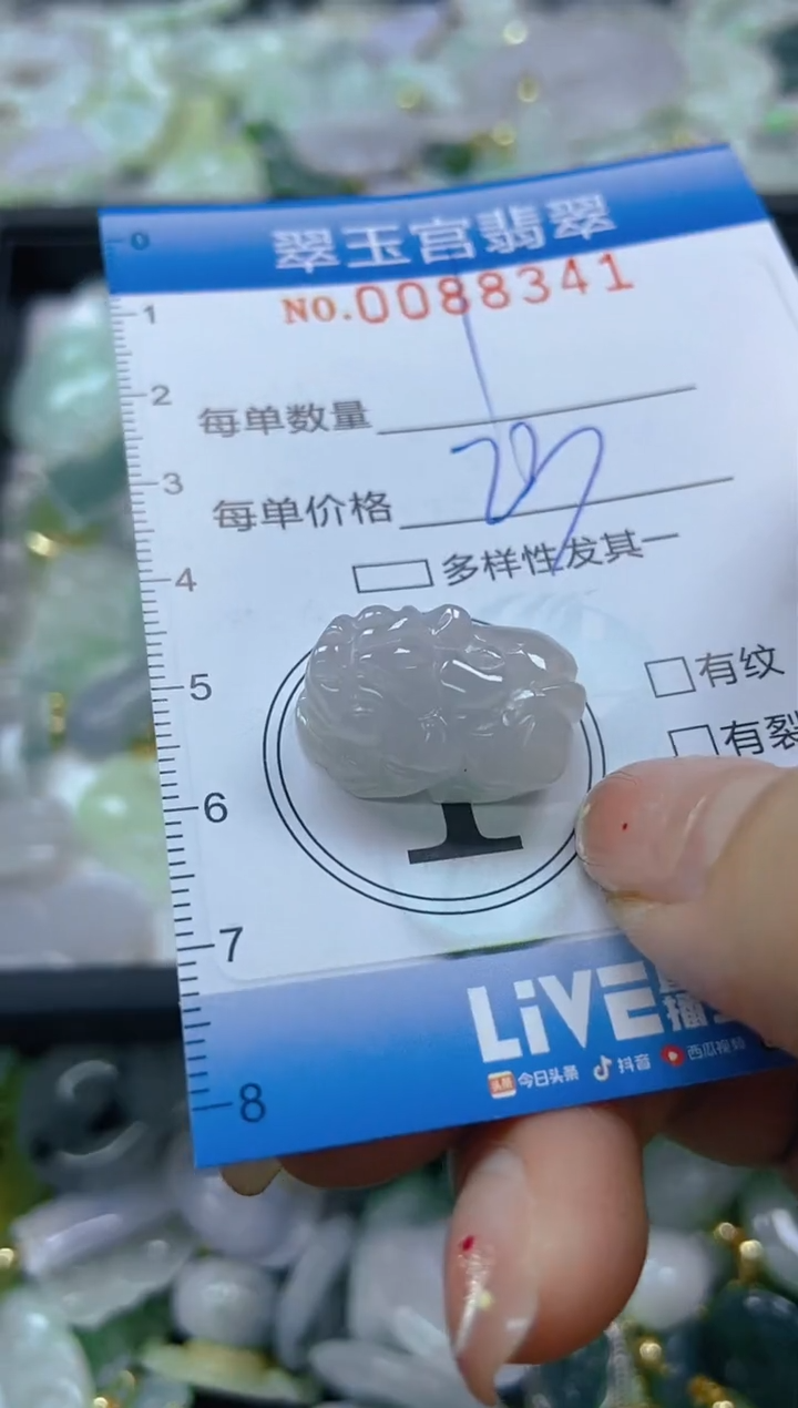 【闪购商品】翡翠颈饰未镶嵌闪购0088341