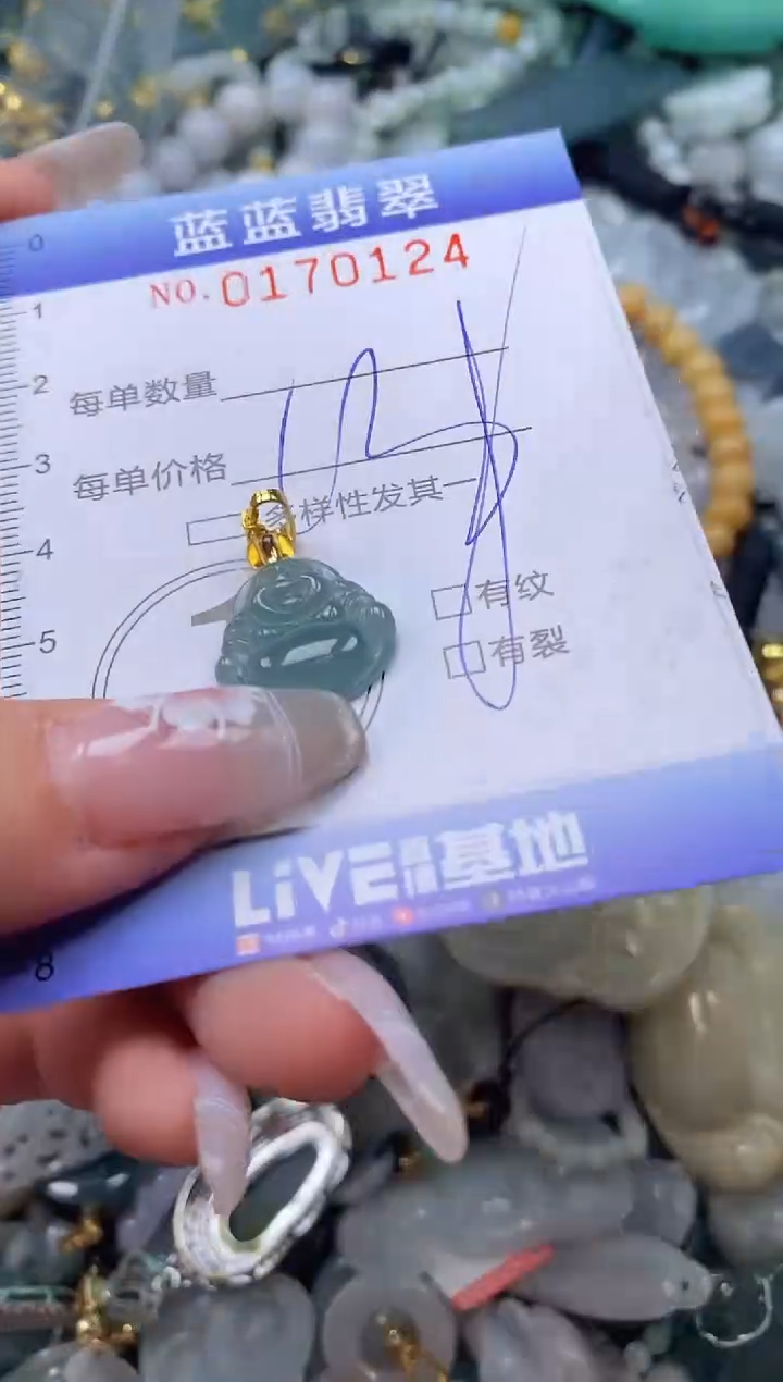 【闪购商品】翡翠颈饰未镶嵌闪购0170124