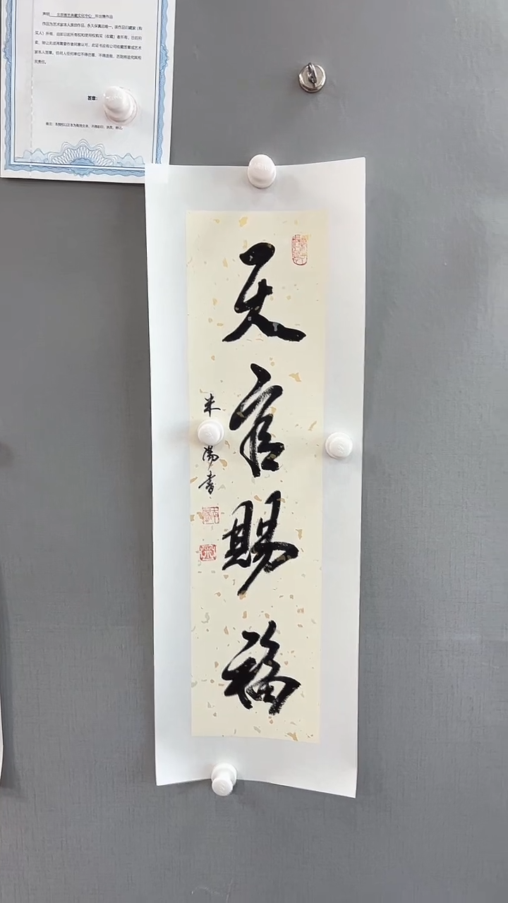 【闪购商品】书法雅艺典藏文化书法