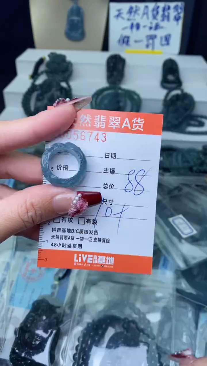 【闪购商品】翡翠颈饰未镶嵌················