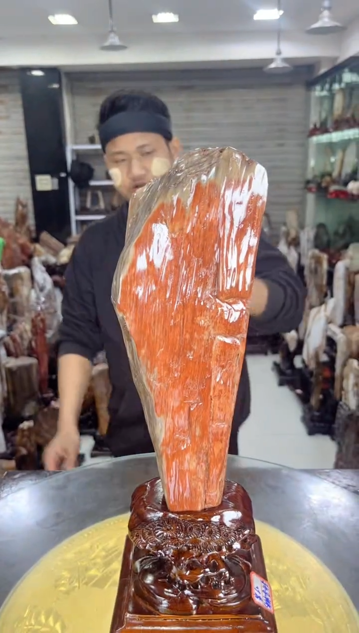 【闪购商品】硅化玉珠宝奇石未镶嵌缅甸天然树化玉