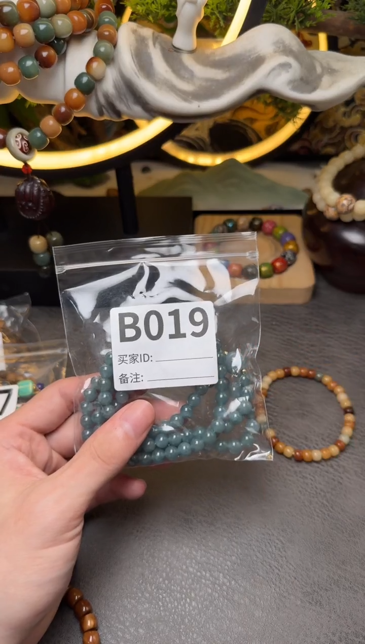 菩提根/象牙果手串B019双圈菩提圆珠