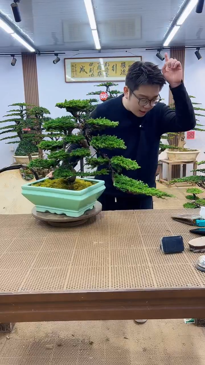 无花朵一物一拍，所见即所得