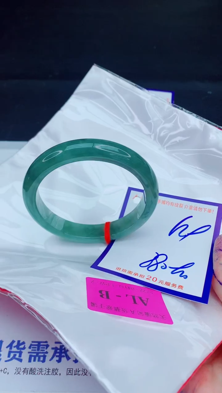 未镶嵌手镯翡翠11111111111
