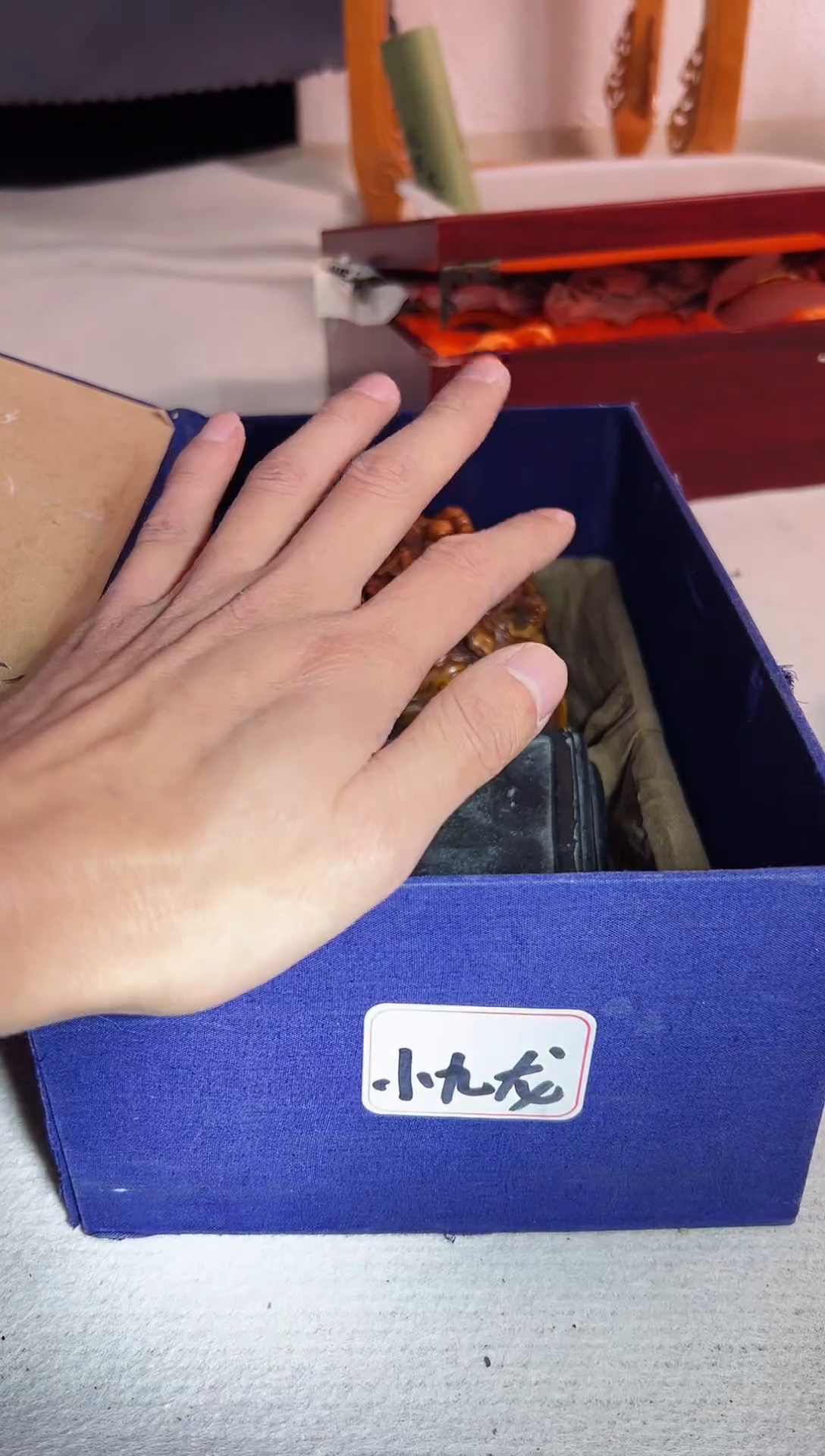 【闪购商品】 好运来直播专属链接小九