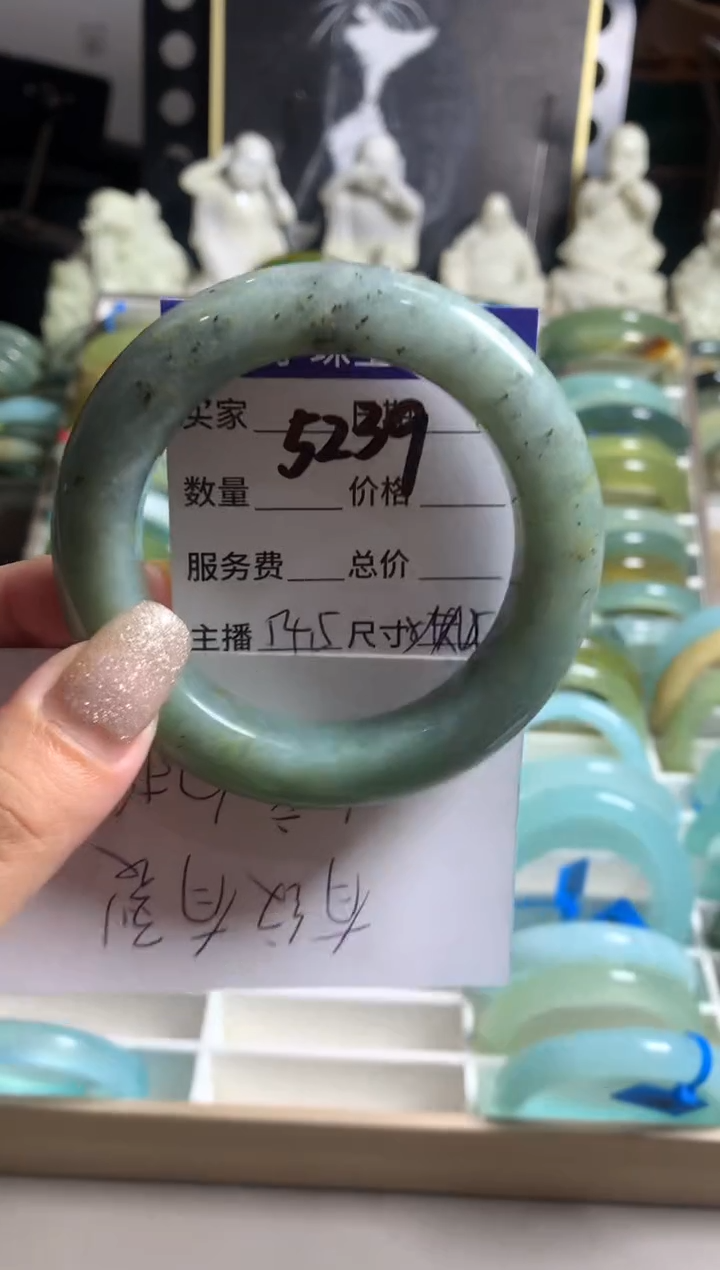 蛇纹石玉未镶嵌手镯5239