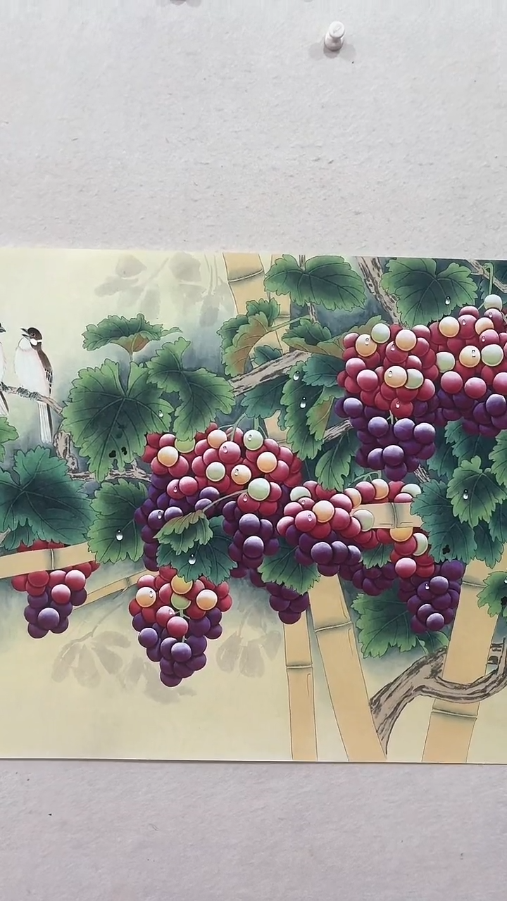 【闪购商品】国画绘画绘画绘画