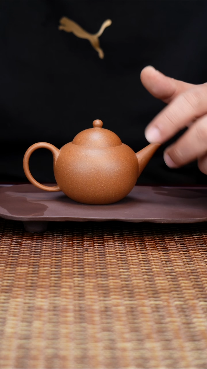 茶壶紫砂汀禾紫砂《珍宝水平》