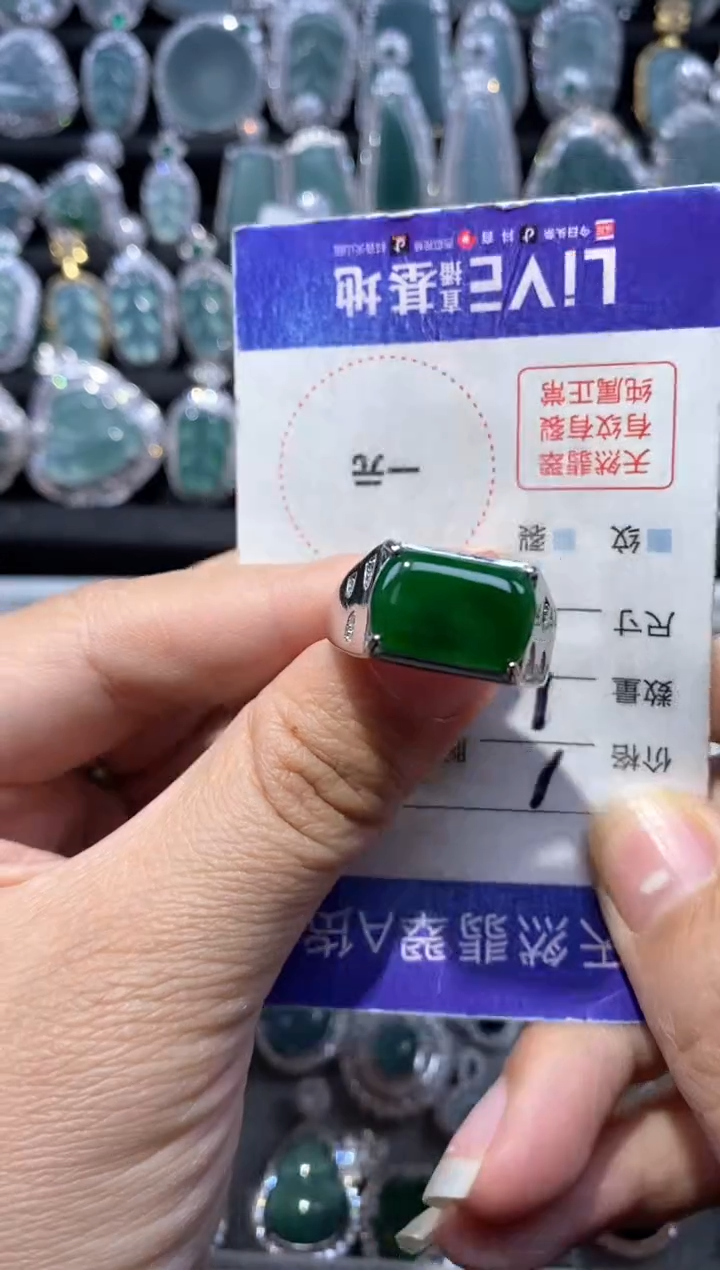 【闪购商品】翡翠颈饰未镶嵌翡翠