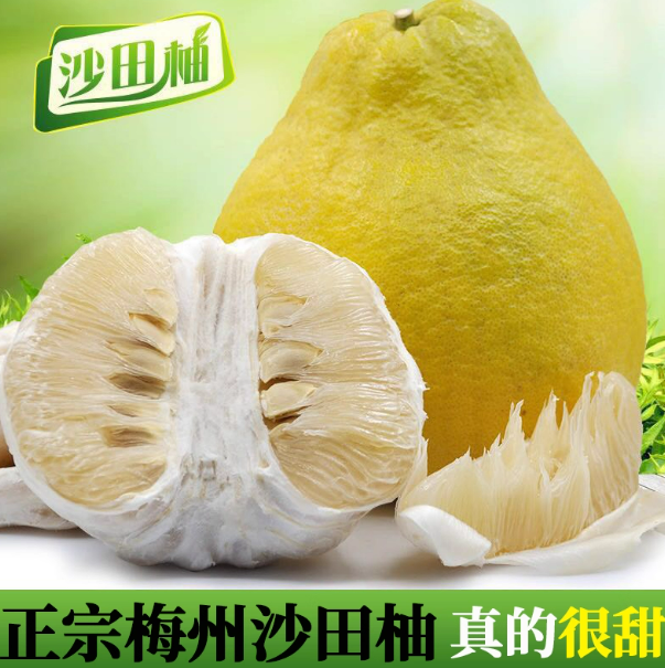 【50斤顺丰包邮】梅州沙田柚广东金柚纯甜白心肉孕妇当季新鲜水果