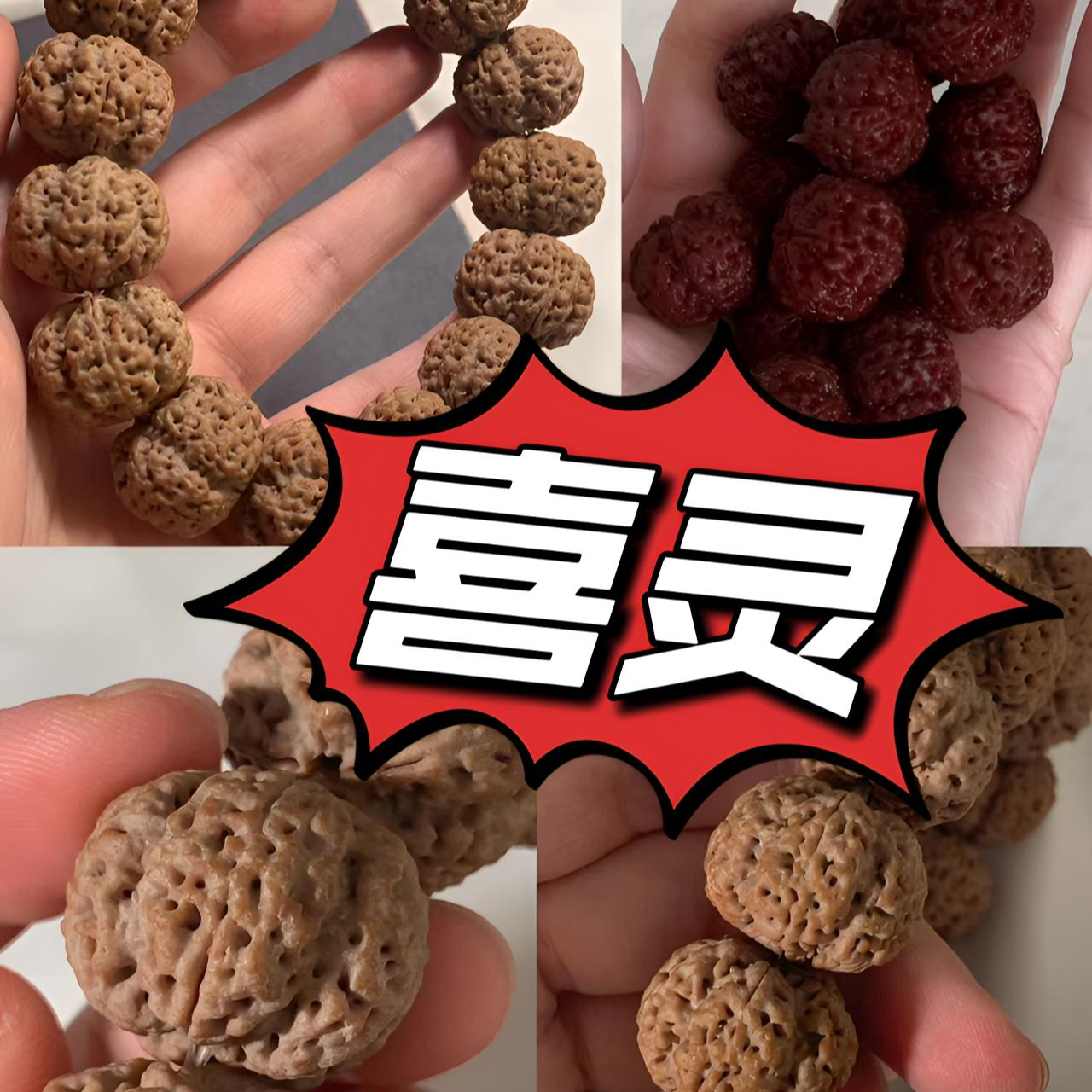 【梁】最强龙爪梅花大金刚