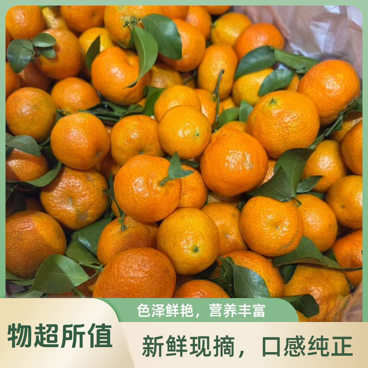 【新春购物节】广西正宗砂糖橘 6斤/12斤礼盒装