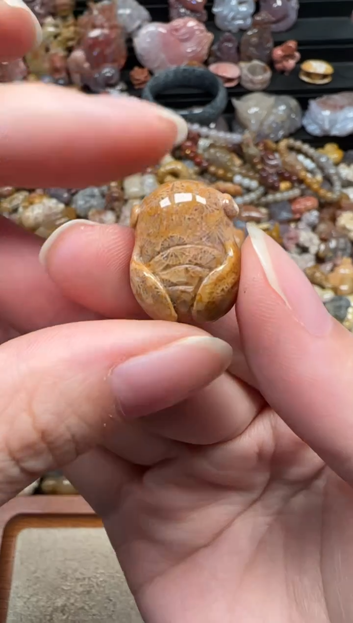 颈饰未镶嵌硅化珊瑚（珊瑚玉）034