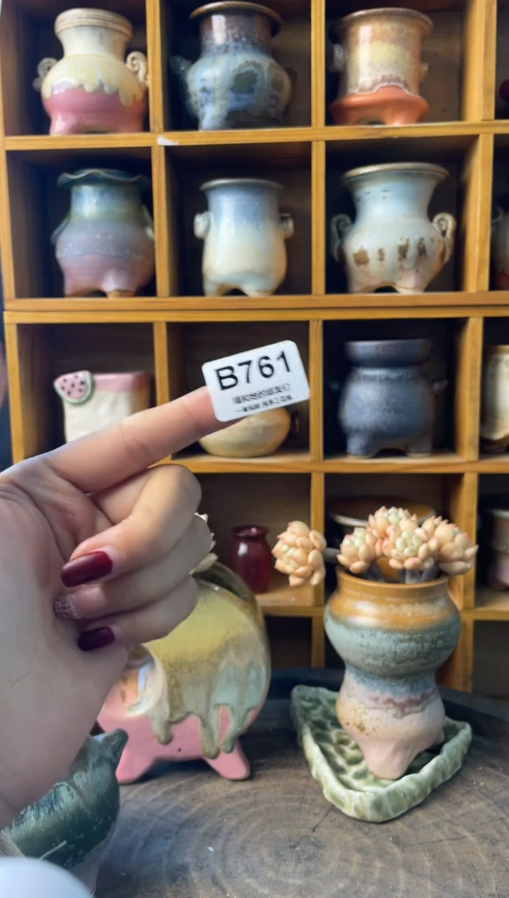 喝**英761【多肉花盆多肉盆】
