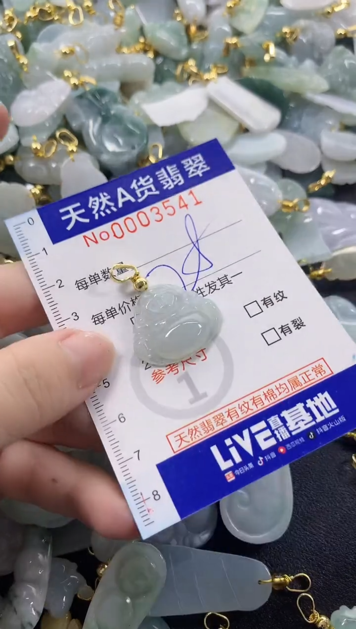 颈饰未镶嵌翡翠天然A货翡翠