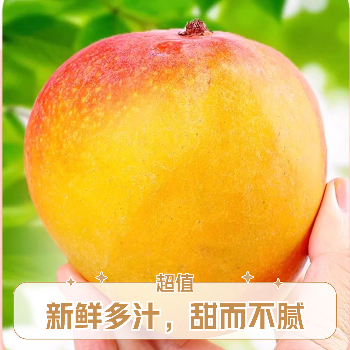 云南苹果芒应季水果自然树上树芒果1斤起