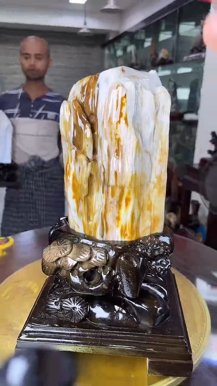 硅化玉珠宝奇石未镶嵌缅甸天然树化玉