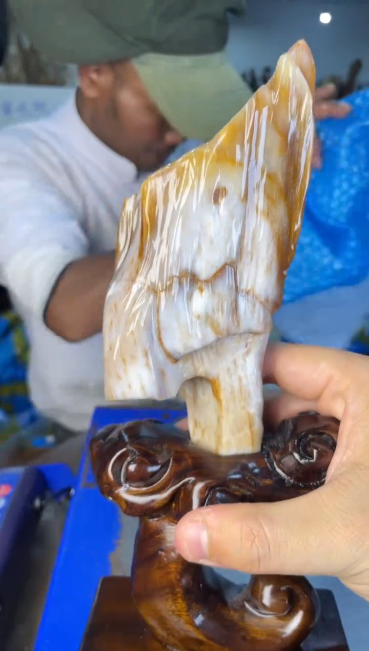 未镶嵌摆件硅化玉1