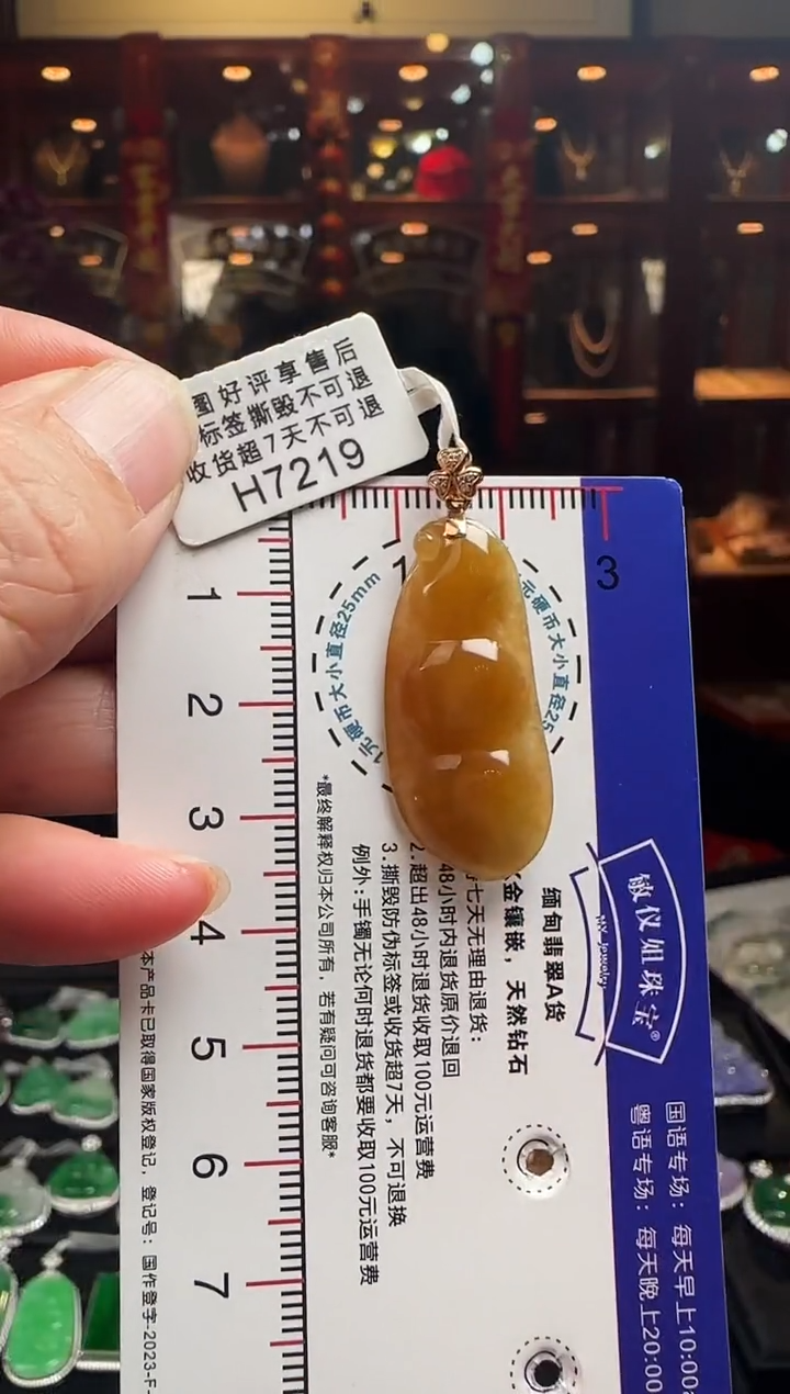 【闪购商品】翡翠颈饰18K金镶嵌H7219冰红富贵豆