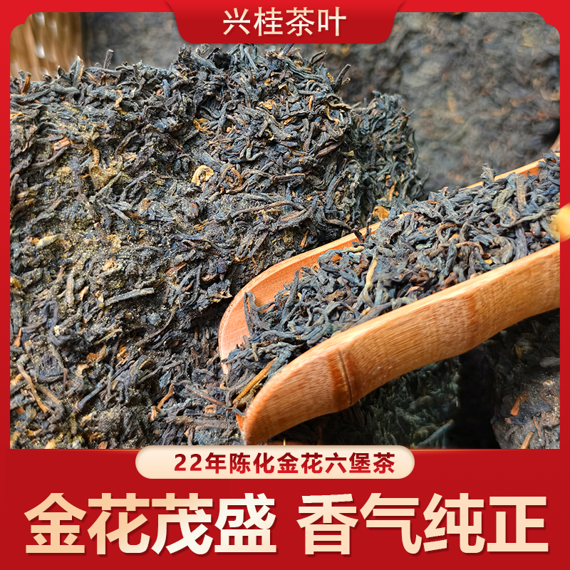 【2022年金花六堡茶】金花茂盛菌香浓郁一级黑茶兴桂六堡茶梧州特产