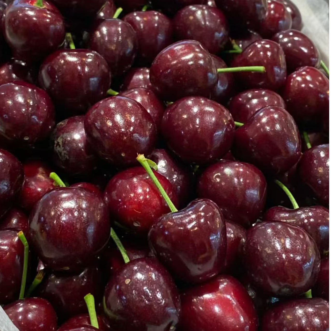 【达吾水果】国产空运大连美早大樱桃净重2斤