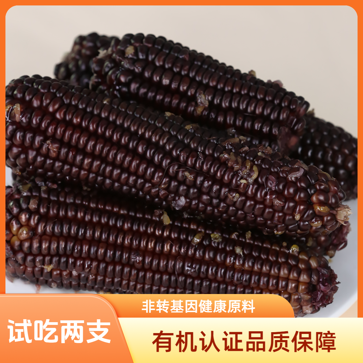 天勤粒粒净ZB有机非转基因黑脆糯玉米早餐营养180g8支